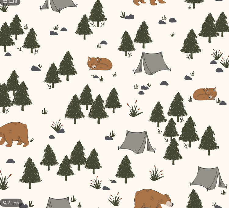 The Great Outdoors