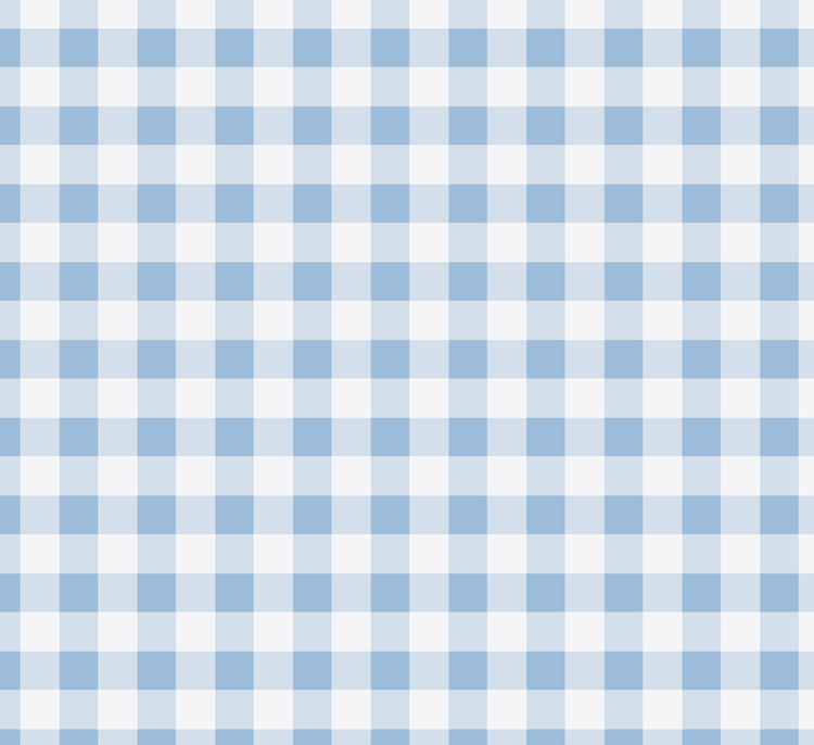 Gingham Powder Blue