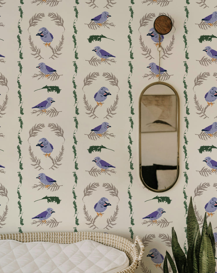 Silk-tailed Songbird (Cream)