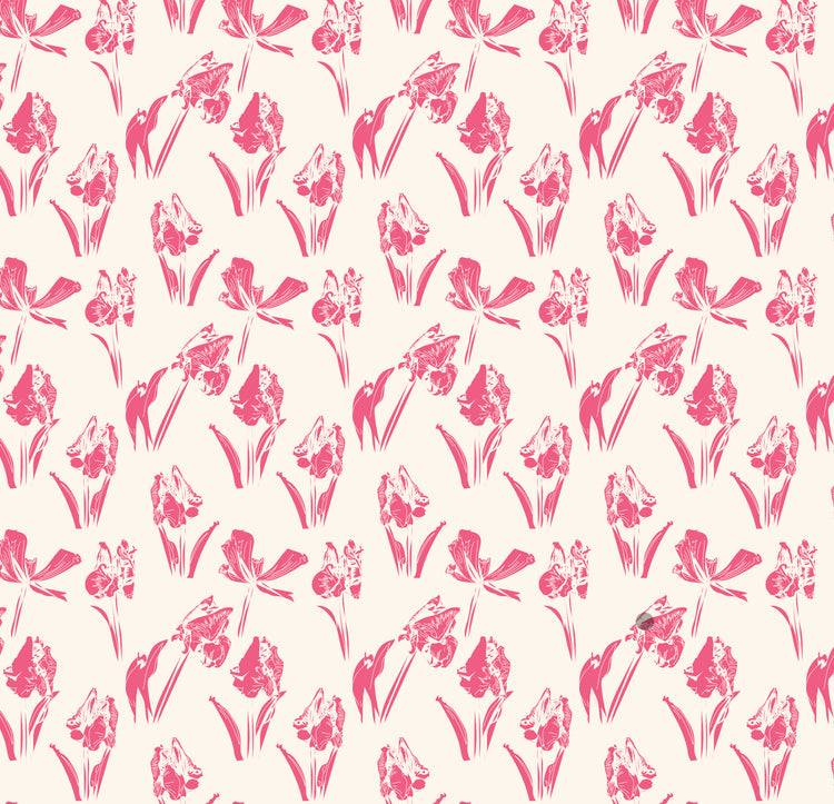 Delicate Tulips (Pink)