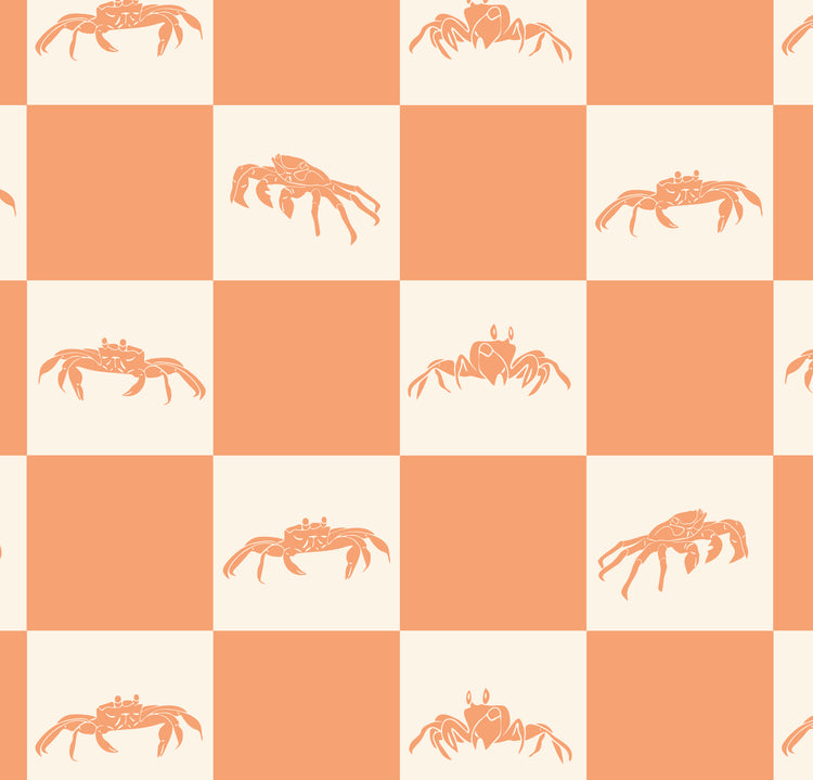 Shoreline Shells (Coral)