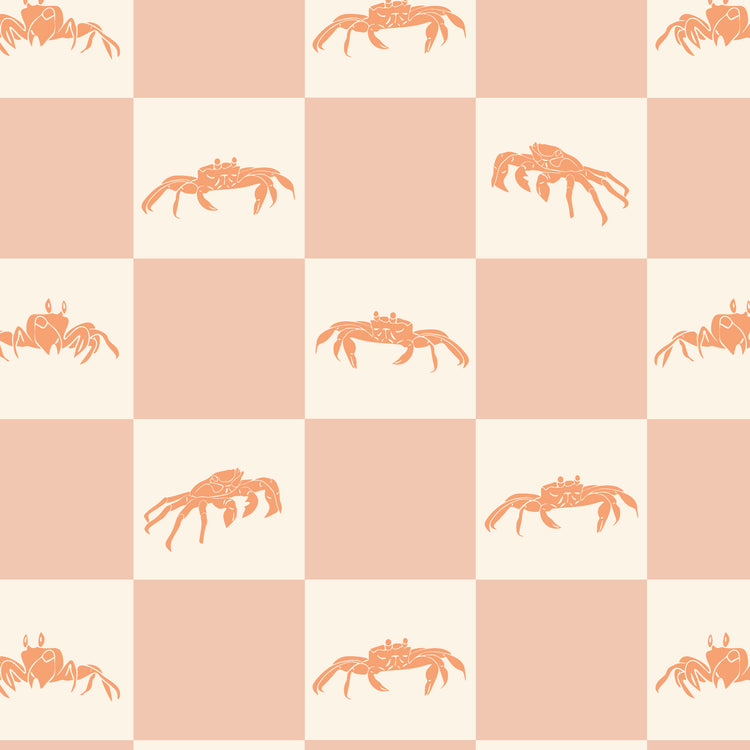 Shoreline Shells (Sunset)