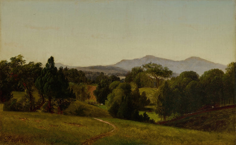 A Summer Evening Art Print