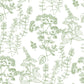 Handrawn Botanicals Wallpaper