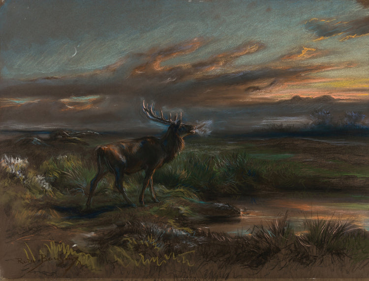 Red Stag at Dawn Art Print
