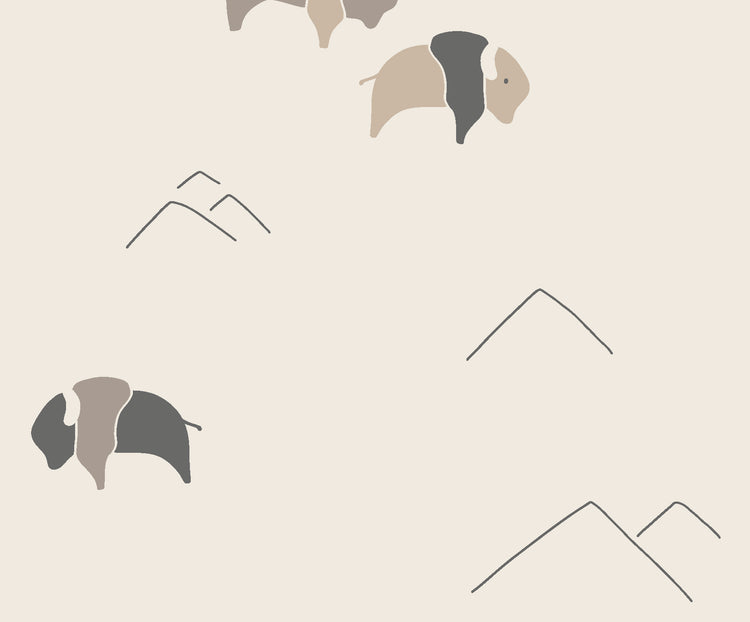 American Bison Wallpaper