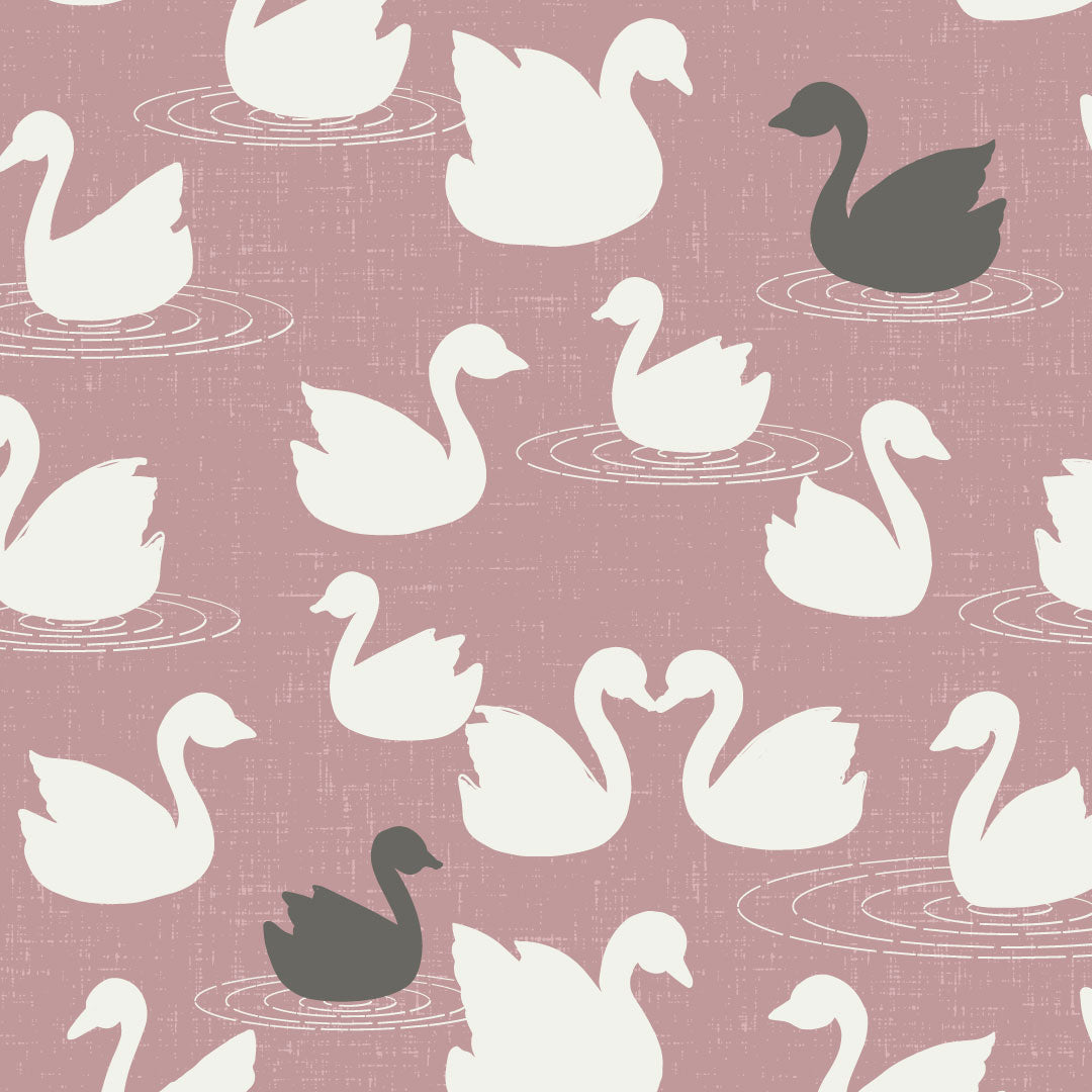 Swans a Swimming Wallpaper