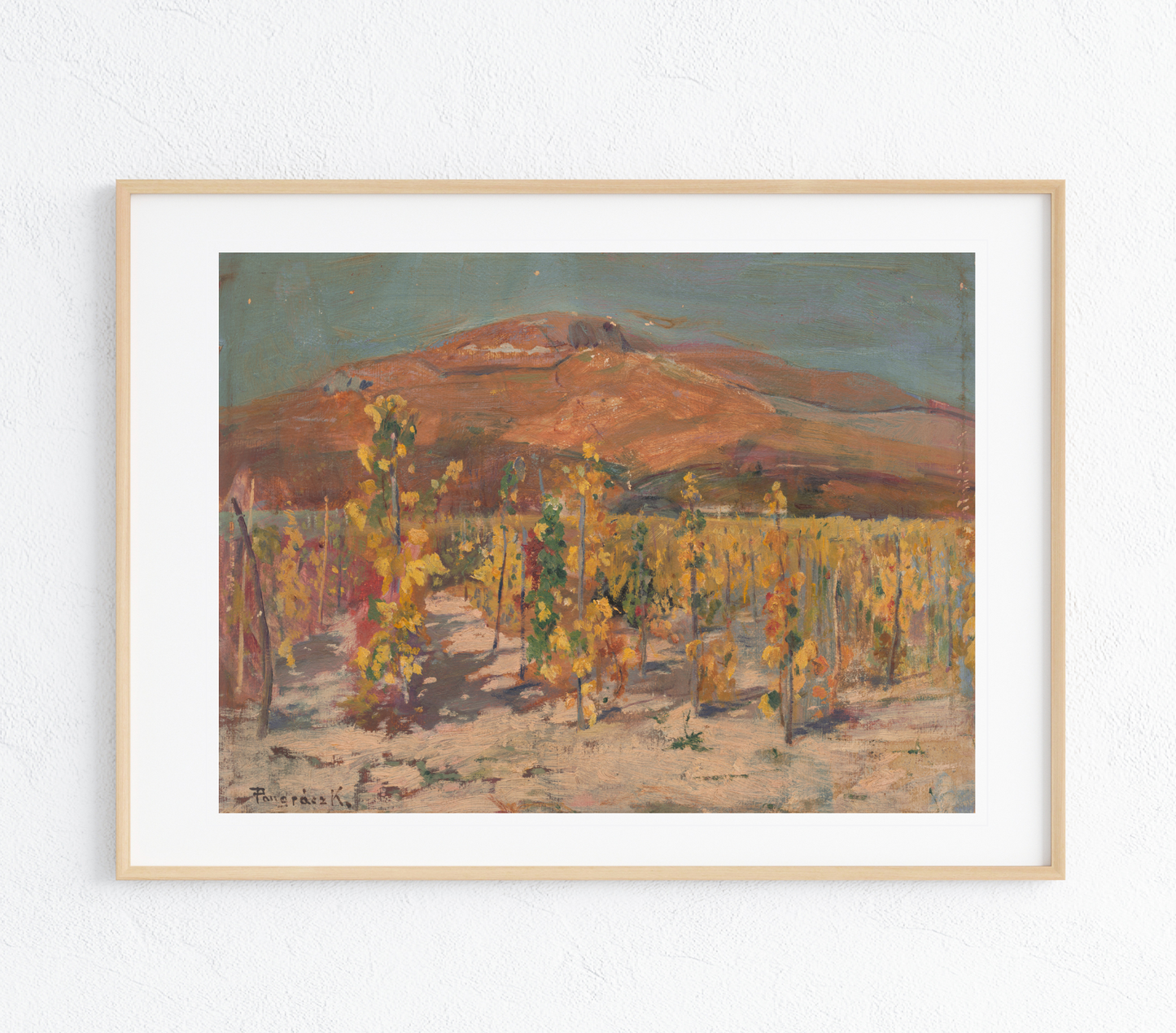Desert Vineyard Art Print