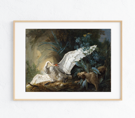 Swans Nest  Art Print