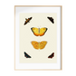 Butterfly Art Print