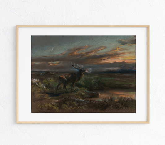 Red Stag at Dawn  Art Print