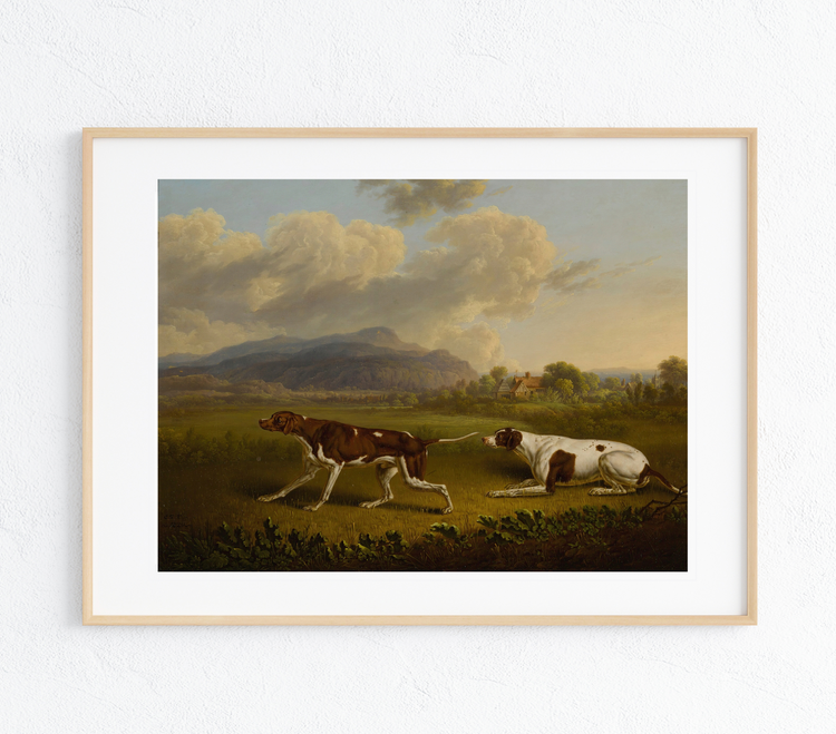 English Pointers Art Print