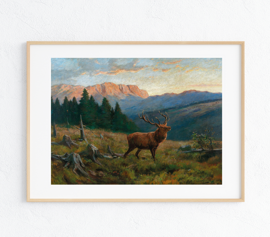 Elk at Dusk Art Print