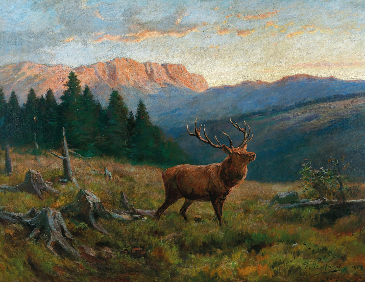 Elk at Dusk Art Print
