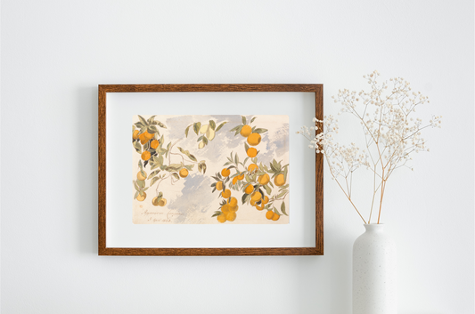 The Citrus Tree Art Print