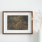 Three Tigers Art Print