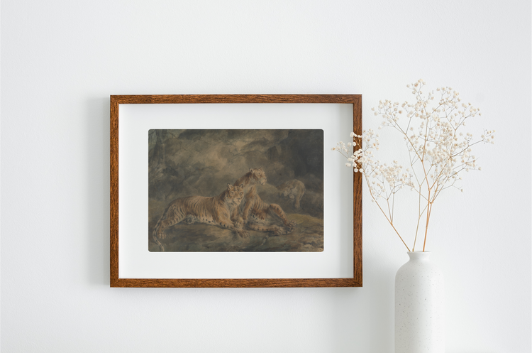 Three Tigers Art Print