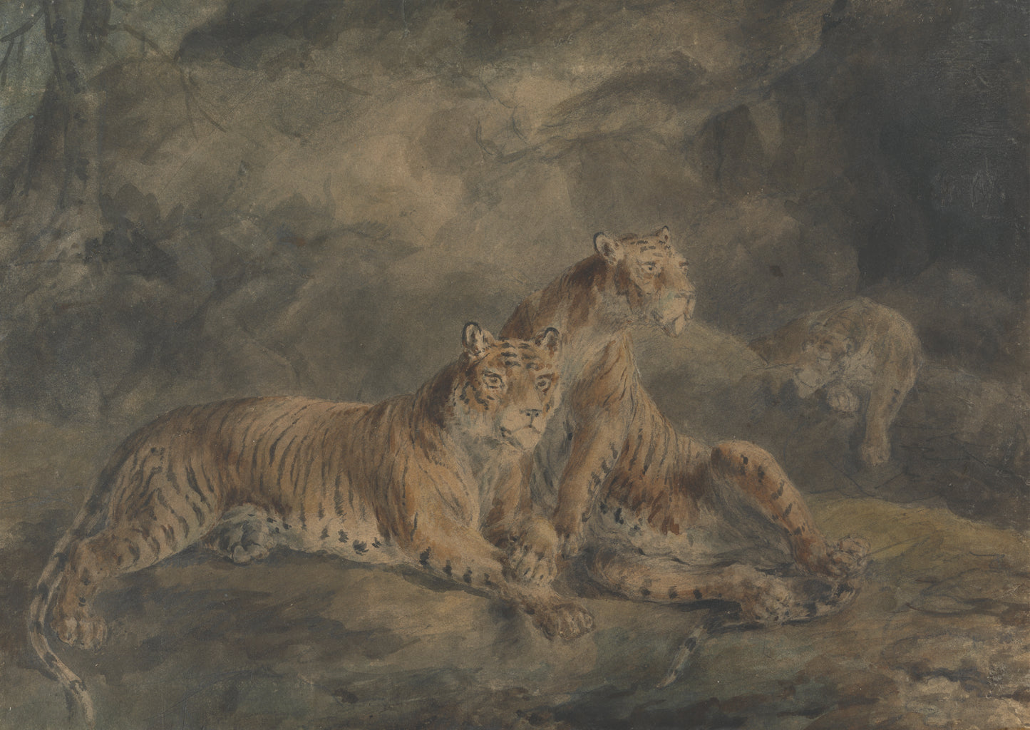 Three Tigers Art Print