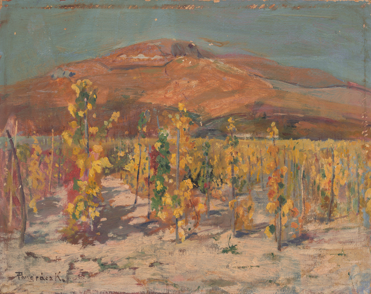 Desert Vineyard Art Print