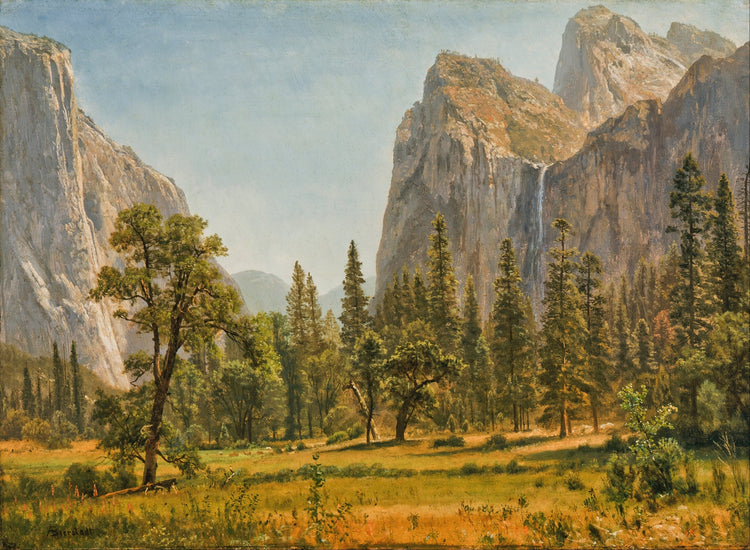 Yosemite Valley Art Print